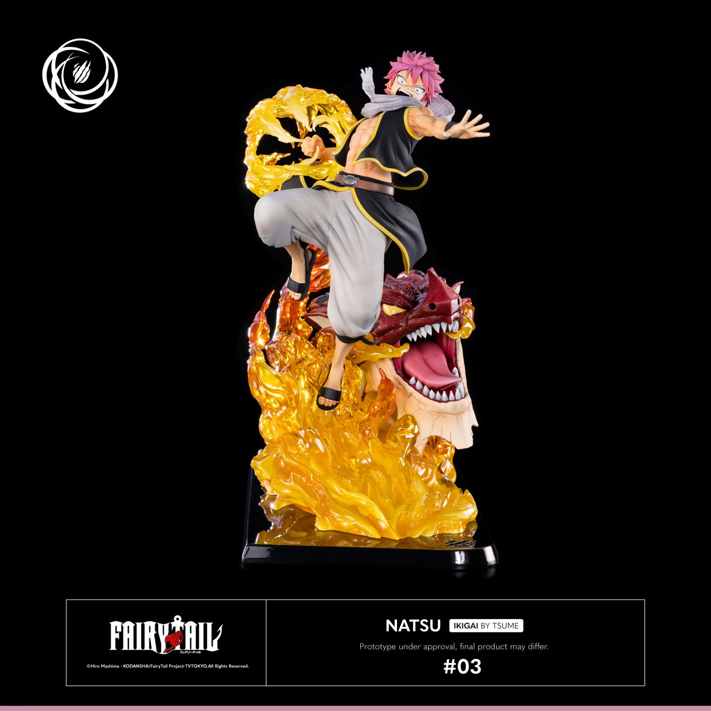 Natsu Dragneel IKIGAI